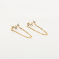 Ster Oorbel Stainless Steel Goud